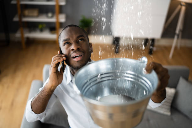 Best 24-hour water damage restoration  in Urbana, MD