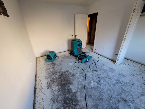 Best Professional water damage repair  in Urbana, MD