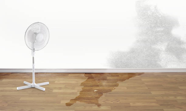 Urbana, MD Water damage restoration Company