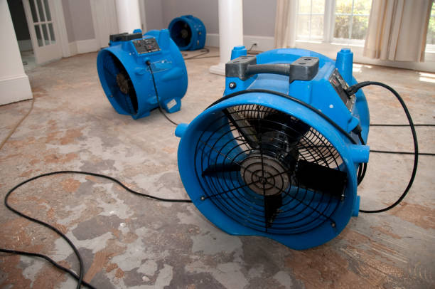 Best Flood restoration services  in Urbana, MD