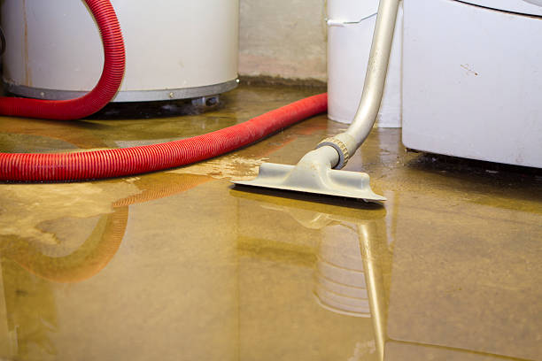 Best Carpet water damage restoration  in Urbana, MD